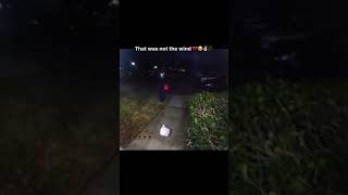 Sneaky delivery guy poch thief#funny#memesdaily#memesdailyfunny#memesdaily #oceanbackground Sneaky delivery guy poch thief#funny#memesdaily#memesdailyfunny#memesdaily #oceanbackground