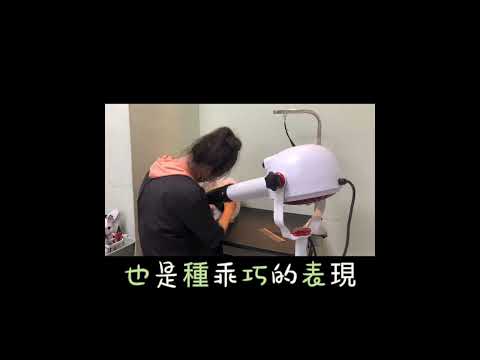 洗香香實錄特輯-綿綿