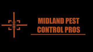 Midland Mosquito Control | Mosquito Pest Control Service in Midland TX