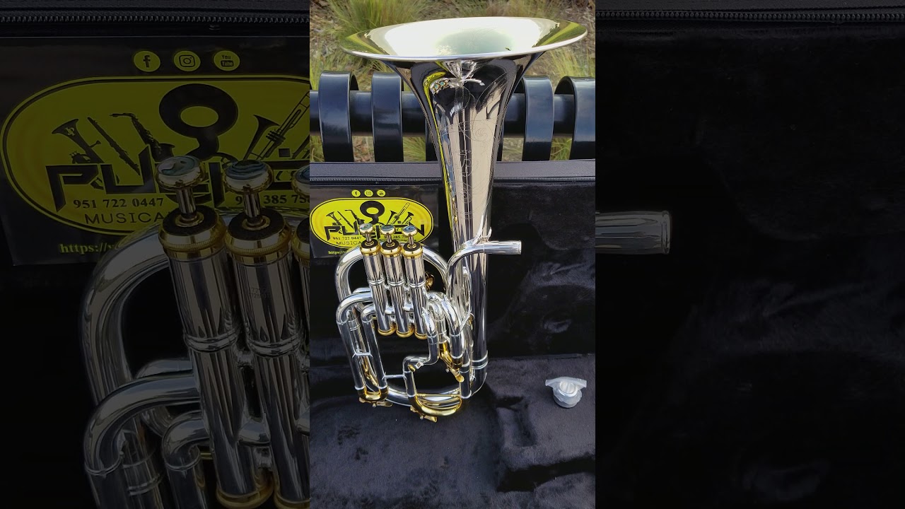 John Packer 172 Gold & Silver Eb Alto Horn