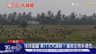 【十點不一樣】別以為不關你的事! 保護生物多樣性從