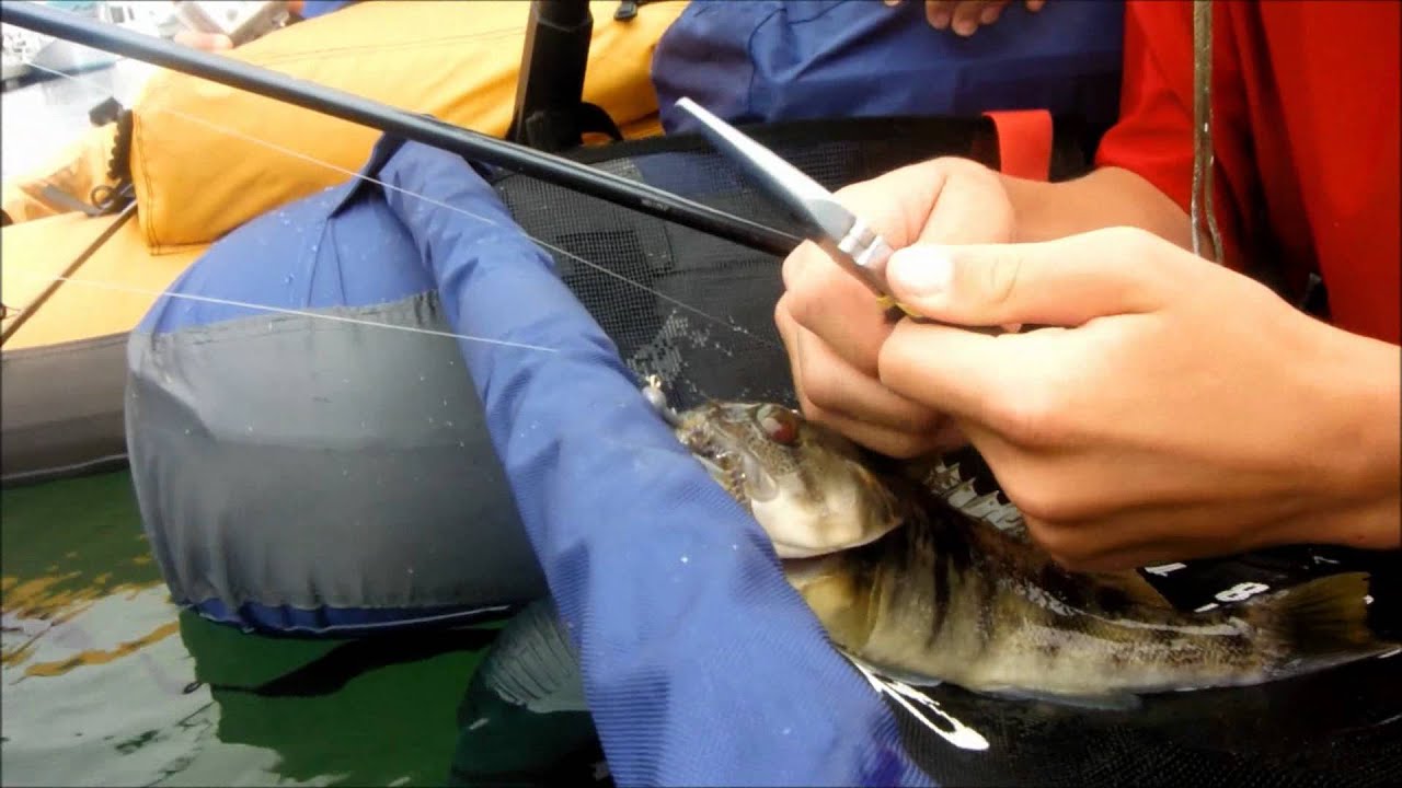 classic accessories teton float tube