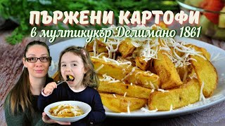 Пържени картофи в мултикукър Делимано 18в1