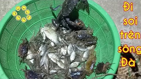 SOI TÔM SÔNG ĐÀ MÙA NƯỚC CẠN