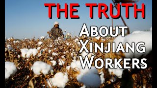 The TRUTH About Xinjiang Workers | The REAL Xinjiang | Forced Labor in Xinjiang? | Video Compilation