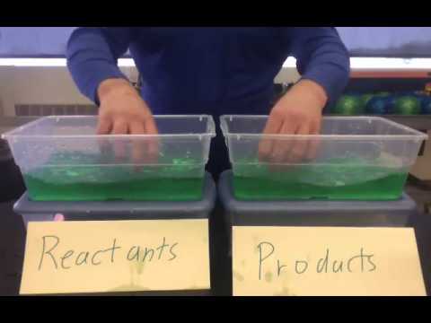 Unit 12 Segment 3: Equilibrium Demonstration