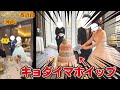 ポケモンガチ勢によるポケモンウエディングがやばすぎた件。【結婚式】