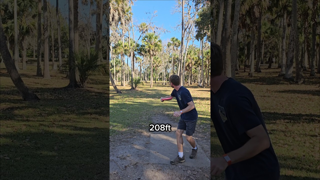 Birdie of the Day, the Taco was going long, so the tree hit wasn't bad! 