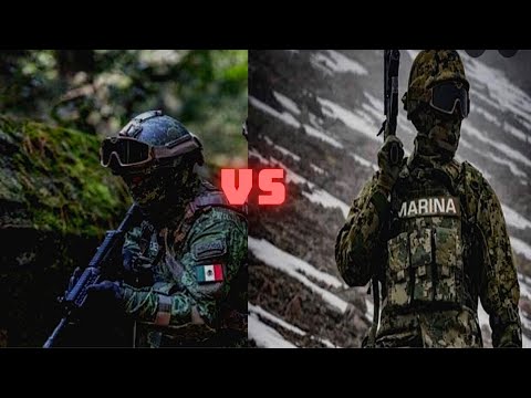 Video: ¿Cuál es la diferencia entre el Ejército y la Infantería de Marina?