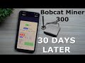 Bobcat Helium Miner ($HNT) - 30 Day Results | How Much It Made