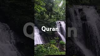 Surah Saf Urdu translation