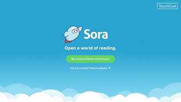 How to Add the Public Library to Sora