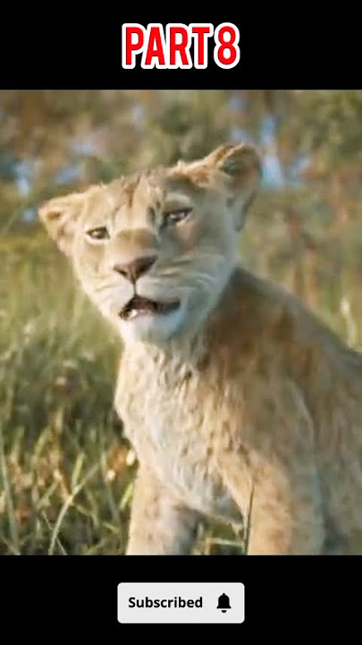 'Mufasa the lion King Movie Explained in Hindi | पार्ट 8| Emotional Story'  #shorts #viralvideo