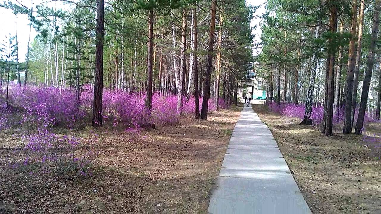 Ангарск санаторий Ангарск санаторий