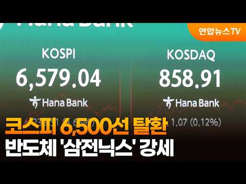 코스피 6,500선 탈환…반도체 '삼전닉스' 강세 / 연합뉴스TV (YonhapnewsTV)