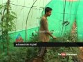 Suraj "little Farmer" Child Editor