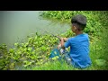 Best Fishing Video  Traditional Hook Fishing in Village Smart Small Boy Fishing With Hook