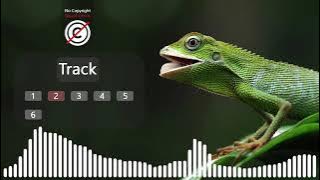 6 LIZARD SOUND EFFECTS | LIZARD NOISES | MONITOR LIZARD SOUND