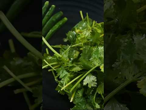 Green Chutney Red Chutney Recipe For Dahi Vada #greenchutney #redchutneyrecipe #chutney chutney