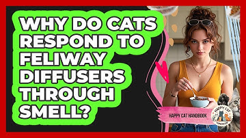 Why Do Cats Respond To Feliway Diffusers Through Smell? - Happy Cat Handbook