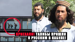 ЧРЕЗВЫЧАЙНО! Талибы зашли в русское посольство в столице Афгана