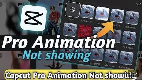 Capcut Pro Animation Not Show Problem | Fix Capcut Pro Animation | No internet connection Solve ✅