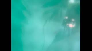 IMG 3466 1