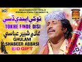 TOKHE ENDE DISI || GHULAM SHABEER ABBASI || NEW VIDEO SONG 