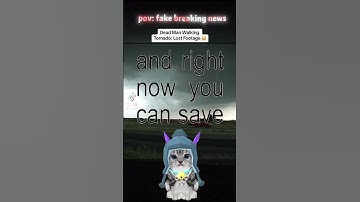 Pov: fake breaking news - cat sim myan (at the end they didn