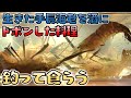 生きたテナガエビを鬼酒にドボン！これぞ鬼ころしテナガエビ！