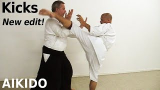 Aikido parries, HARAI, and techniques against kicks, GERI, by Stefan Stenudd in 2010