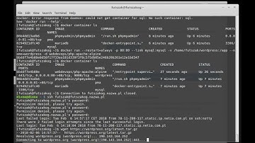 Instalacja Wordpress, PhpMyAdmin oraz FTP na serwerze VPS z użyciem wirtualizacji Docker