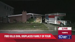 Dog killed in Tampa house fire; family of 4 displaced: TFR