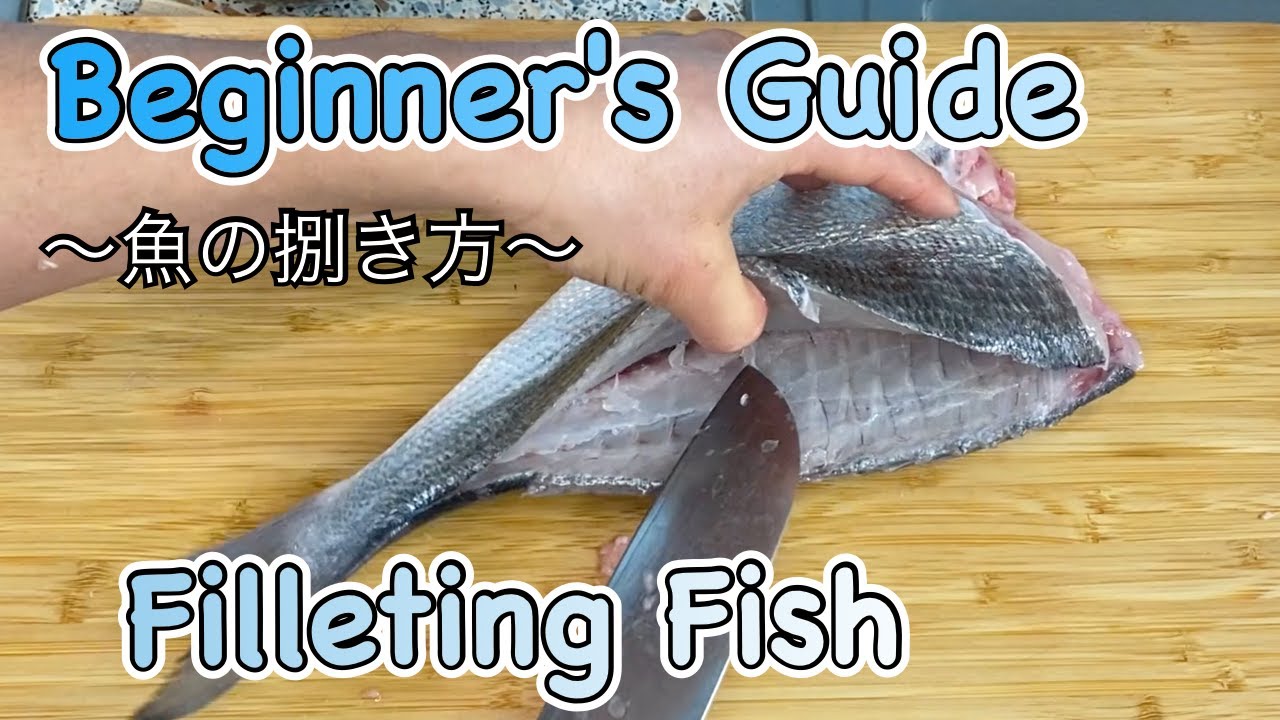 GRAPHIC How to fillet fish "Japanese style" for Sashimi/Sushi easy