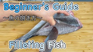 How to fillet Golden Eye Snapper for Sashimi】~Japanese guy homecooking~ 