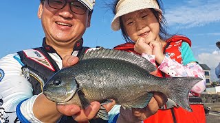 Family fishing on Jeju Island in Korea. Catch an Opal Eye!