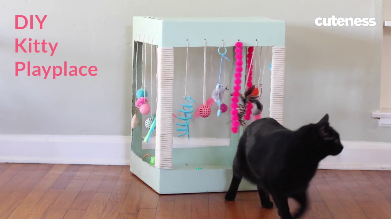 How to Build a Kitty Play Place - Cuteness.com - YouTube