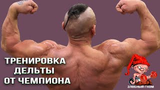 видео: Тренировка дельт от чемпиона Шарапова Андрея.💪 картинка: Тренировка дельт от чемпиона Шарапова Андрея.💪