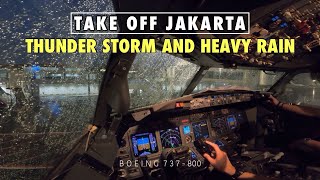 TSRA // BOEING 737 800 // JAKARTA - TANJUNG PANDAN