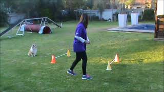 Jump Foundations