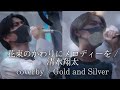 花束のかわりにメロディーを / 清水翔太(coverby / Gold and Silver)