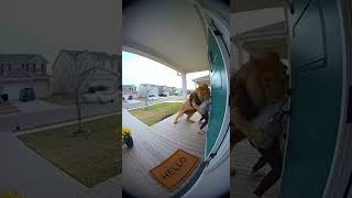 Ring Camera Captures Lion Attacking Female At The Door Realfootage