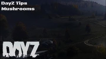 DayZ Tips - Mushrooms