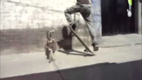 313 skate