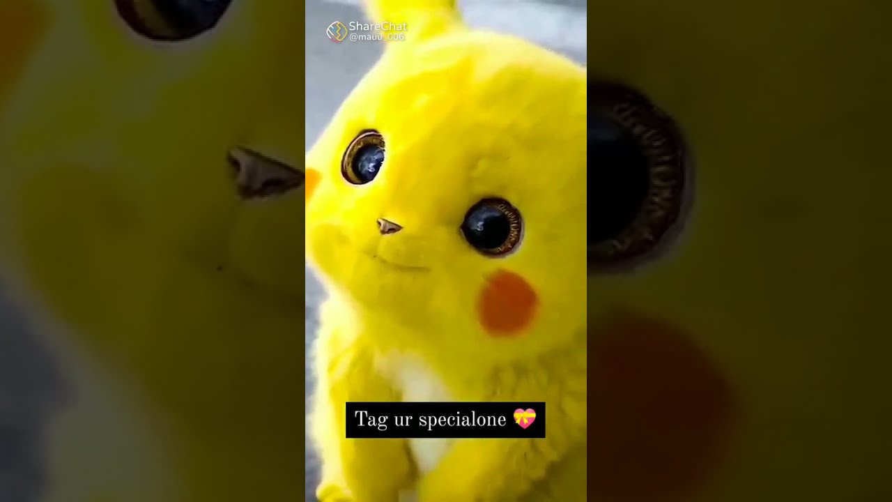 Cute pikachu status video  pikachu lover  shorts