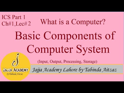 What is a