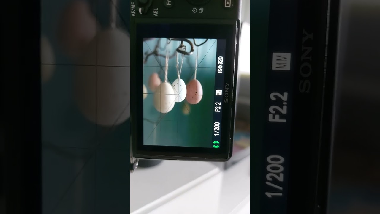 taking photo's in Wide mode,on Sony A7R II