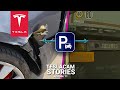 Tesla Sentry Mode caught truck CRASH a parked Tesla Model 3 | TESLACAM STORIES #11