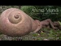 Anima mundi full movie 2011  climate change energy permaculture and gaia