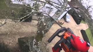 TREE SURGERY - oak dismantle and fell - GoPro